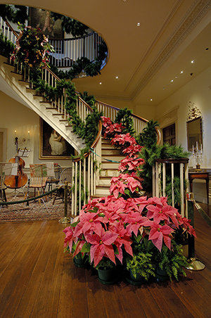 Montmorenci Stair Hall at Winterthur, elegantly decked out for the holidays with garlands, poinsettias and other Christmas decorations. Image courtesy of Winterthur.